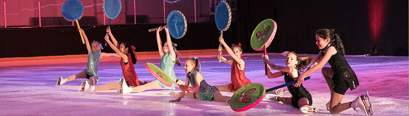Gala Ice Show